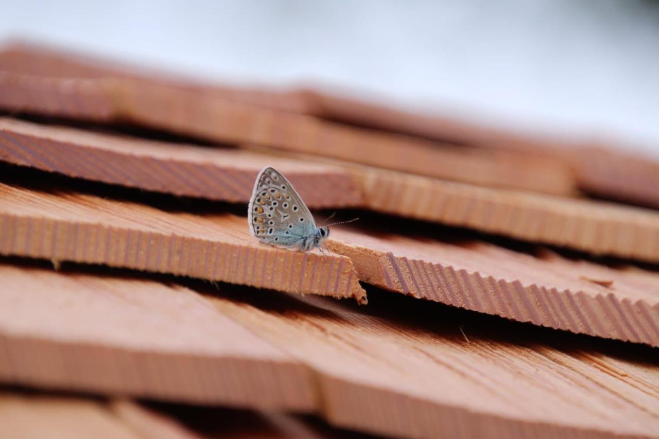 L'Insolite Jurassienne Dompierre-sur-Mont Exterior foto